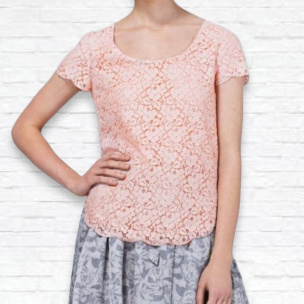 Aritzia Talula "Betsey" Light Pink Floral Lace Blouse Size M